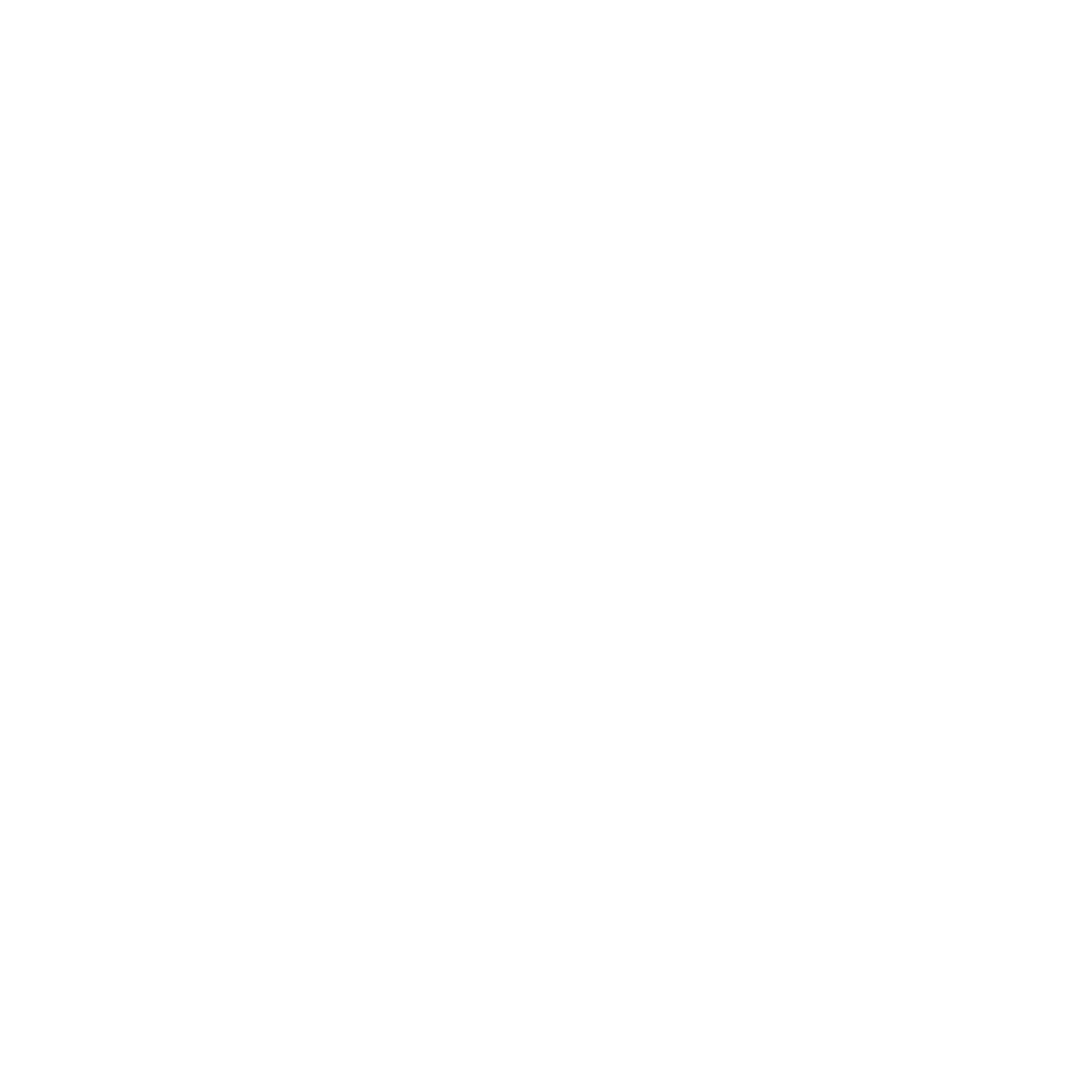 Ryusei Group